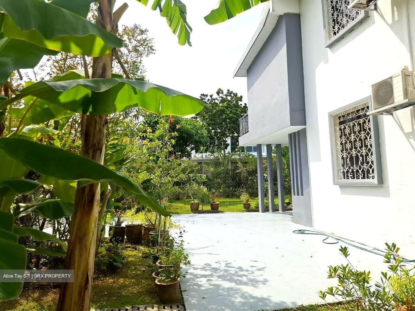 HARTLEY GROVE (D15), Detached #550200481